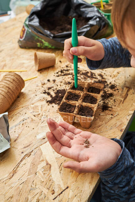 From above of crop anonymous kid demonstrating seeds over biodegradable container with soil on table — Stock Photo
