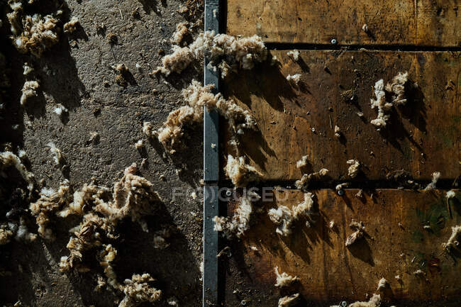 Вид зверху купа стриженої вовни овець, розкиданих на дерев'яній підлозі в сарай в сільській місцевості — стокове фото