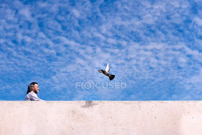 From below side view of positive mature bearded male resting near concrete fence and observing flying pigeon against cloudy blue sky — Stock Photo