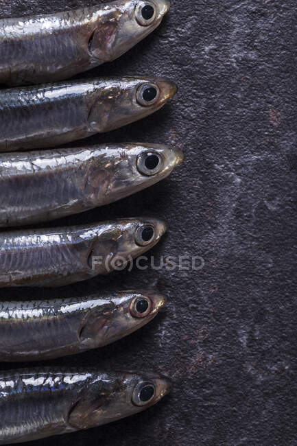 Crop close up view of raw anchovies lying on dark surface — Stock Photo