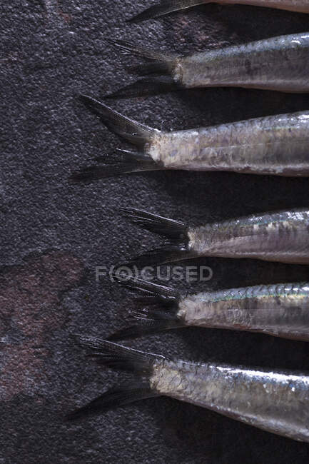 Crop close-up vista de caudas de anchovas cruas deitado na superfície escura — Fotografia de Stock