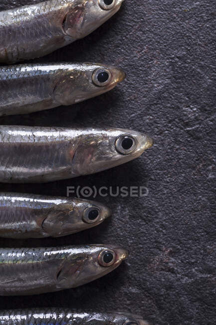 Vue rapprochée des anchois crus couchés sur une surface sombre — Photo de stock