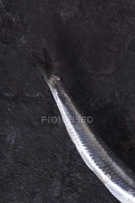 Recorte vista de cerca de la cola de anchoa cruda acostado en la superficie oscura - foto de stock