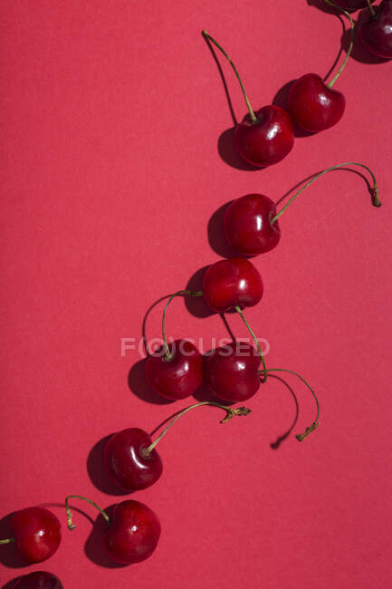 Сверху ярко-красные аппетитные вишни со стеблями на розовом фоне — стоковое фото