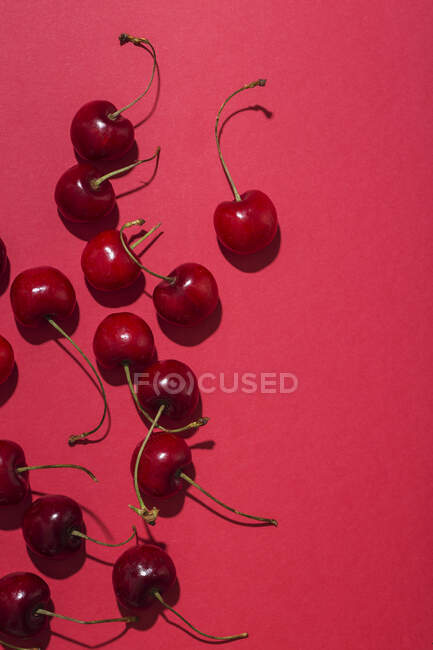 Von oben leuchtend rote appetitliche Kirschen mit Stielen auf rosa Hintergrund — Stockfoto