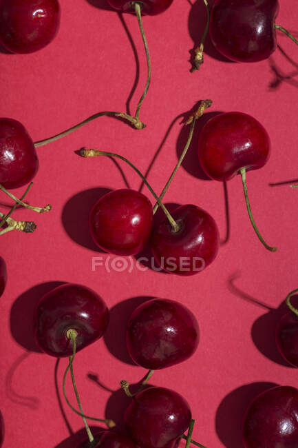 D'en haut rouge vif cerises appétissantes avec des tiges sur fond rose — Photo de stock