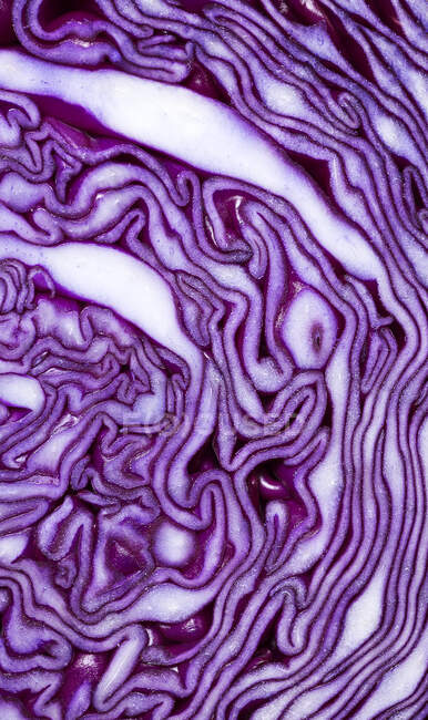 Crop macro view of red cabbage sliced leaves texture — Stock Photo