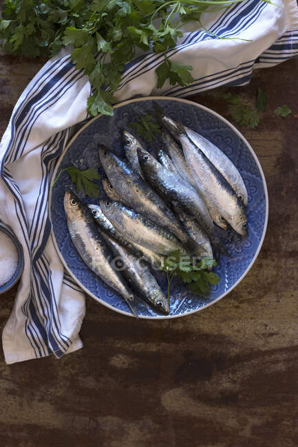 Vista superior de un plato con sardinas frescas sobre una mesa de madera junto al perejil y una toalla de cocina - foto de stock