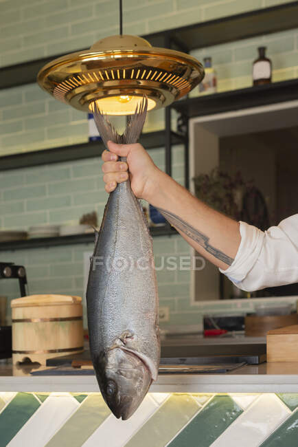 Cultive chef masculino irreconhecível com peixe fresco cru em pé no restaurante de sushi na cozinha — Fotografia de Stock