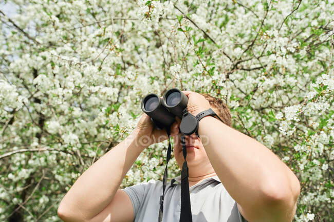 From below of male traveler observing birds through binoculars in green woods in summer — Stock Photo
