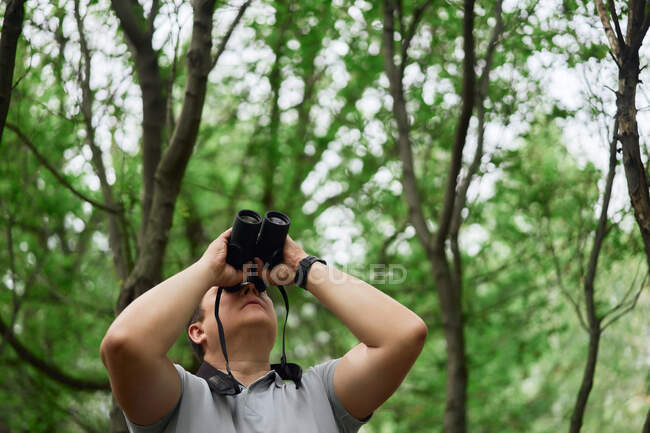 From below of male traveler observing birds through binoculars in green woods in summer — Stock Photo
