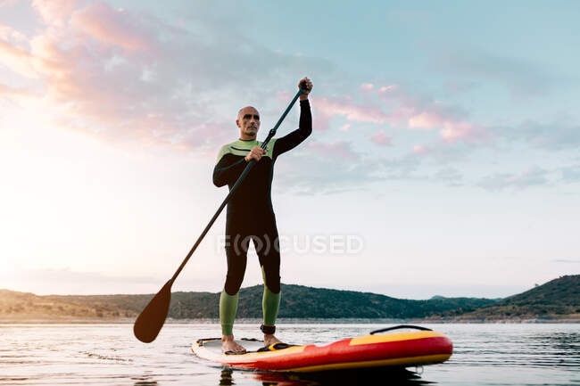 Знизу зосереджений чоловічий серфер, що плаває на дошці SUP на спокійному морі на заході сонця влітку — стокове фото