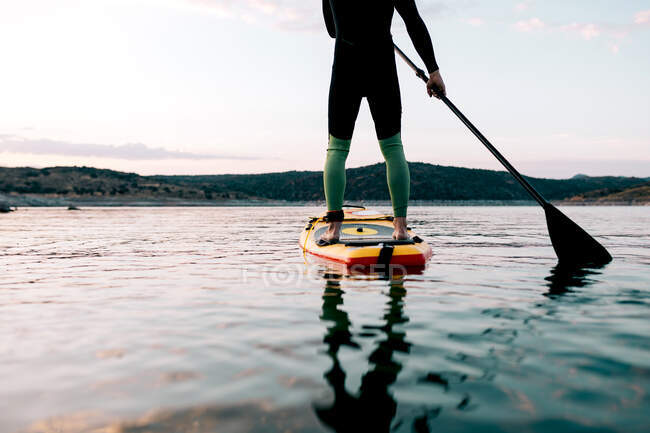 Обрезанный неузнаваемый анонимный серфер, плавающий на доске SUP на спокойном море на закате летом — стоковое фото