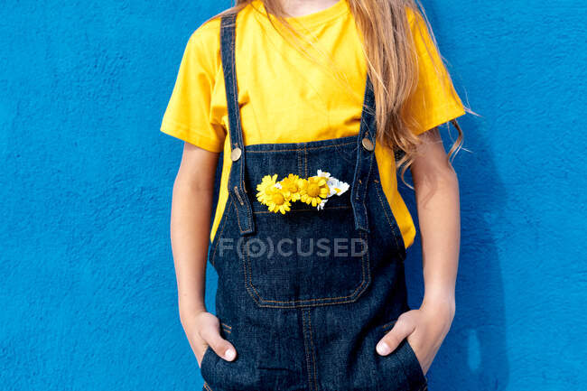 Cropped unrecognizable teen hipster with bunch of yellow flowers in pocket of denim overall leaning on blue wall — Stock Photo
