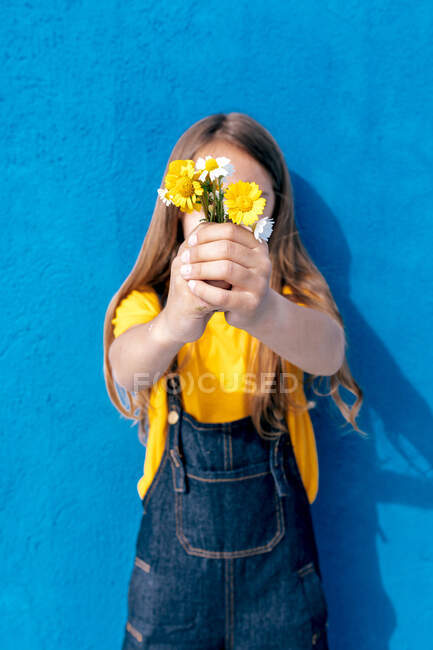Анонімний підліток вкриває обличчя купою свіжих квітів, стоячи на тлі синьої стіни — стокове фото