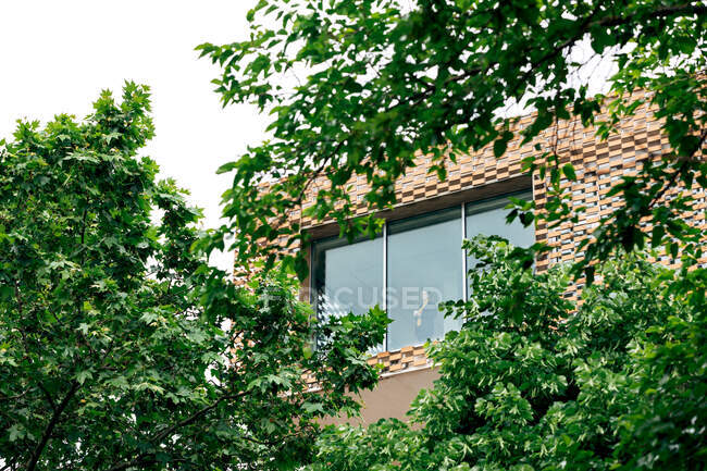 D'en bas à travers la fenêtre vue de la femelle dans une tenue élégante debout dans une maison moderne avec des éléments géométriques sur les murs près des arbres verts et des plantes en journée — Photo de stock