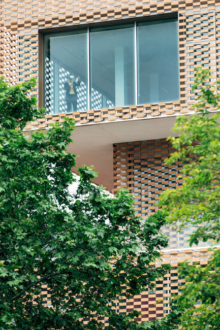 Снизу через окно вид на женщин в стильном наряде в гарнитуре VR, стоящих в современном доме с геометрическими элементами на стенах возле зеленых деревьев и растений в дневное время — стоковое фото