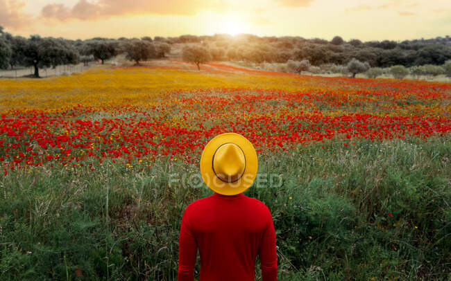 Rückseite unkenntlich stilvolles Männchen in roter Kleidung und gelbem Hut steht in üppig blühendem Feld in friedlicher Natur — Stockfoto