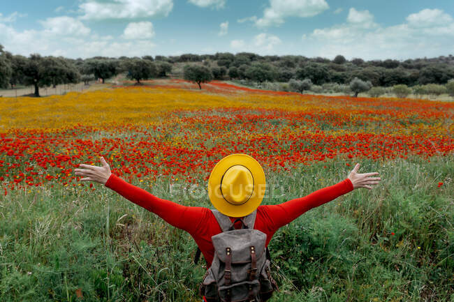Vista posterior irreconocible elegante hombre en ropa roja y sombrero amarillo brazos extendidos y de pie en el campo de florecimiento exuberante en la naturaleza pacífica - foto de stock
