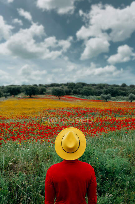 Vista posteriore irriconoscibile maschio elegante in abiti rossi e cappello giallo in piedi in lussureggiante campo fiorito nella natura pacifica — Foto stock