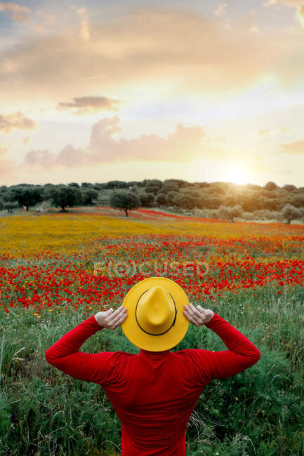 Вид сзади неузнаваемый стильный мужчина в красной одежде и желтой шляпе вытянув руки и стоя в пышном цветущем поле в мирной природе — стоковое фото