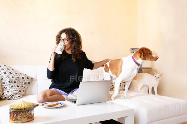 Jeune hispanique femelle caressant chien et navigation sur Internet sur ordinateur portable tout en passant du temps libre ensemble dans le salon en buvant du café — Photo de stock