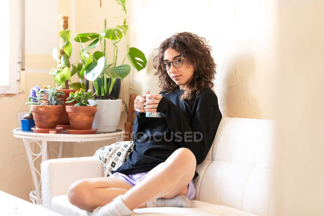 Junge lockige hispanische Millennial-Frau in heimeliger Kleidung und Brille, die in die Kamera schaut, während sie in der Nähe von Topfpflanzen in einem hellen Raum zu Hause sitzt und Heißgetränk trinkt — Stockfoto
