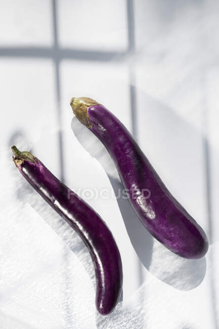 Minimalist style layout composition with raw unpeeled natural eggplants of different shapes placed on white background with light and shadow — Stock Photo