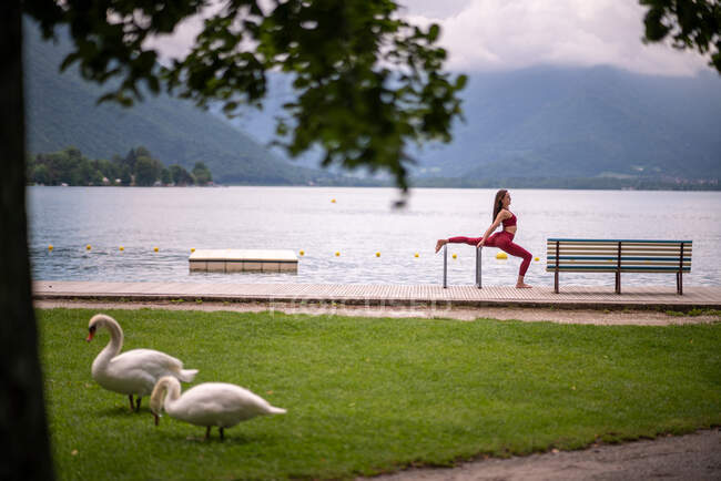 Vista lateral da fêmea serena em sportswear esticando as pernas e fazendo divisões enquanto pratica ioga no cais de madeira perto do lago — Fotografia de Stock