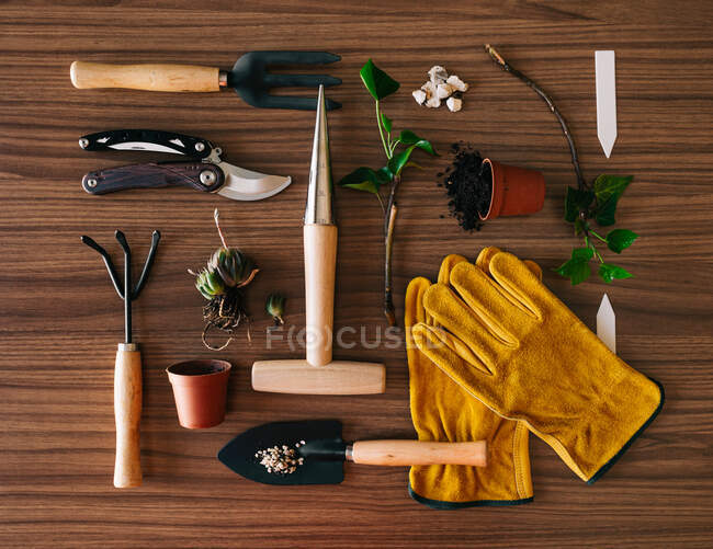 Puesta plana de pequeños instrumentos de jardinería casera con guantes y maceta con plantas en mesa de madera - foto de stock