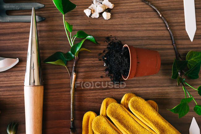 Puesta plana de pequeños instrumentos de jardinería casera con guantes y maceta con plantas en mesa de madera - foto de stock