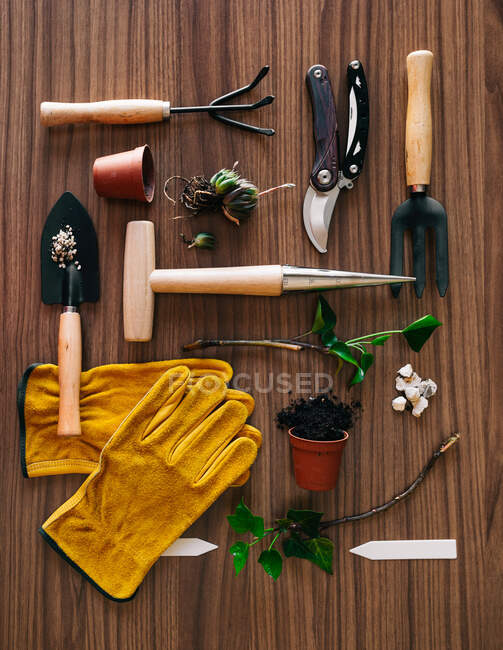 Flat lay of small home gardening instruments with gloves and flowerpot with plants on wooden table — Stock Photo