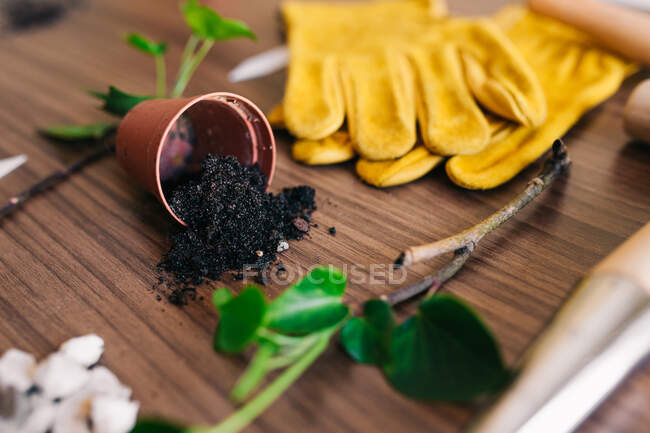Table with gardening gloves and spilled soil from small flowerpot among tools and green twigs — Stock Photo