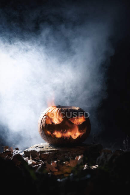 Close-up of a pumpkin on a dark and foggy background — Stock Photo