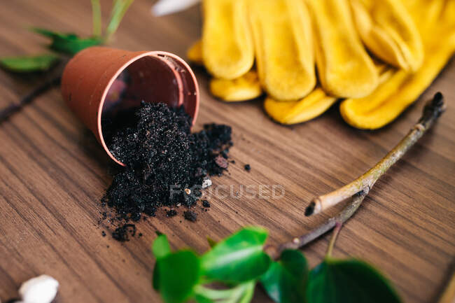 Table with gardening gloves and spilled soil from small flowerpot among tools and green twigs — Stock Photo