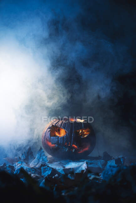 Close-up of a pumpkin on a dark and foggy background — Stock Photo