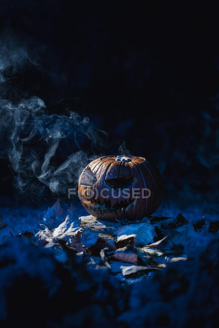 Primo piano di una zucca su uno sfondo scuro e nebbioso — Foto stock
