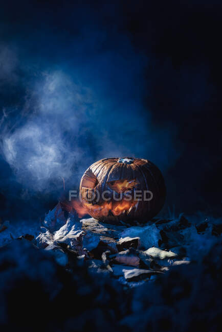 Close-up de uma abóbora em um fundo escuro e nebuloso — Fotografia de Stock