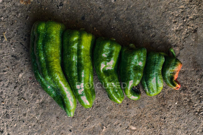 Nahaufnahme eines Haufens grüner Paprika auf dem Boden — Stockfoto