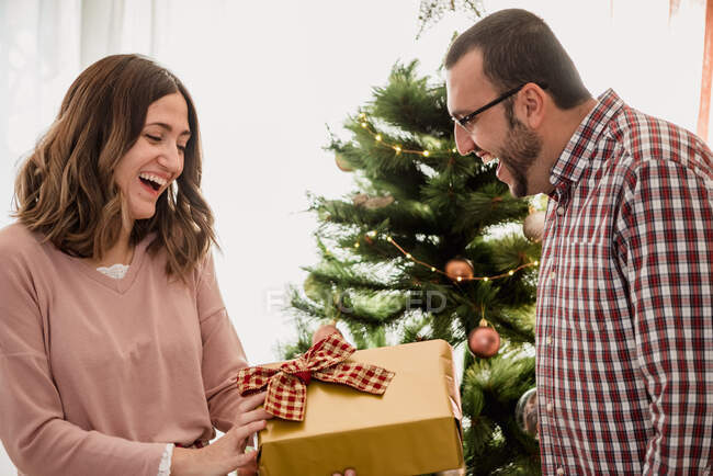 Alegre hembra adulta que pasa la caja presente al varón admirado asombrado mientras que celebra vacaciones de Año Nuevo en casa - foto de stock