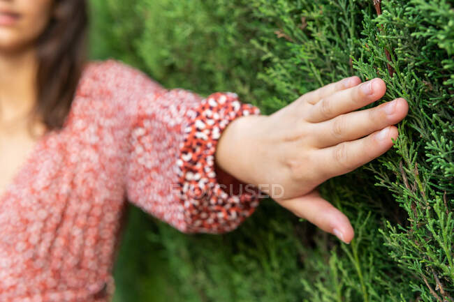 Crop unrecognizable female with brown hair in dress standing and touching green bush in daytime — Stock Photo