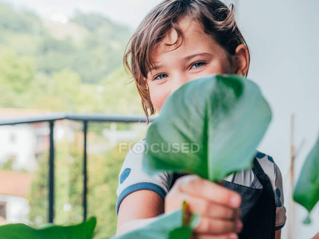 Маленька дівчинка демонструє зелений лист рослини і дивиться на камеру на балконі проти зеленого пагорба вдень — стокове фото