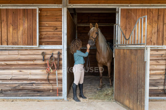 Side view of anonymous female in riding boots stroking stallion muzzle in bridle standing in wooden stable in countryside — Stock Photo