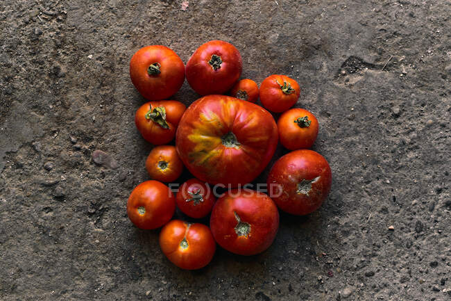 Nahaufnahme von einem Stapel roter Tomaten auf dem Boden — Stockfoto