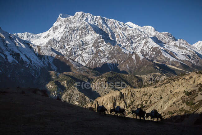 Высокие крутые склоны гор, покрытые снегом, расположенные в долине Гималаев под красочным небом в Непале — стоковое фото
