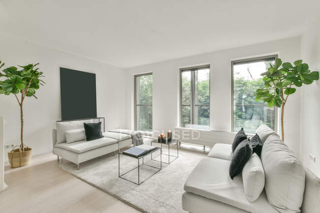 Canapés confortables avec oreillers placés sur le tapis dans une pièce lumineuse dans un appartement moderne en journée — Photo de stock