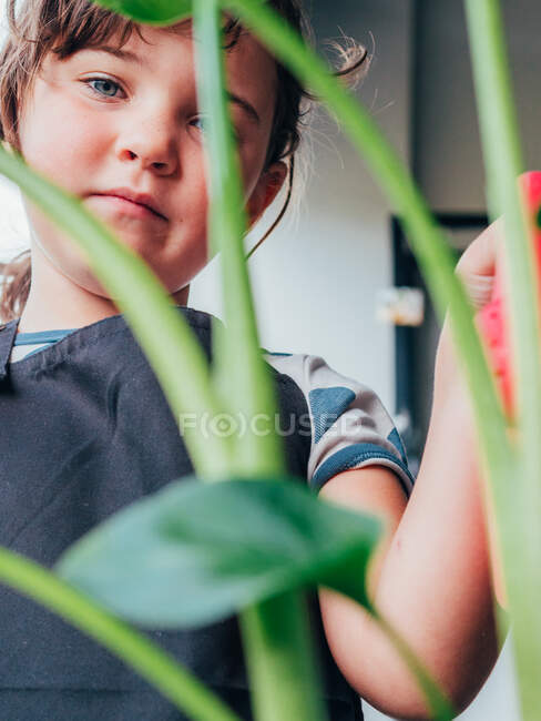 Знизу маленька дівчинка між гілками рослини і дивлячись на камеру — стокове фото