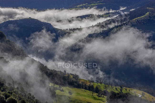 Desde arriba pintoresco paisaje de laderas de montaña cubiertas de hierba verde y bosque bajo nubes y niebla - foto de stock