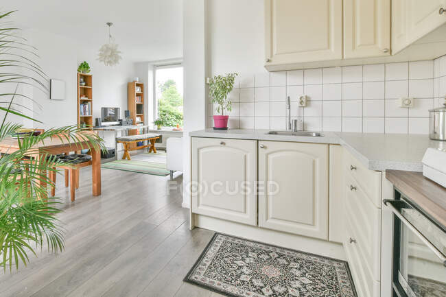 Interior da cozinha espaçosa com mobiliário elegante luz e plantas verdes em vasos no apartamento moderno — Fotografia de Stock