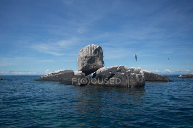 Wild seabirds soaring above wet boulders washed by blue rippling sea under clear sky in Malaysia — Stock Photo
